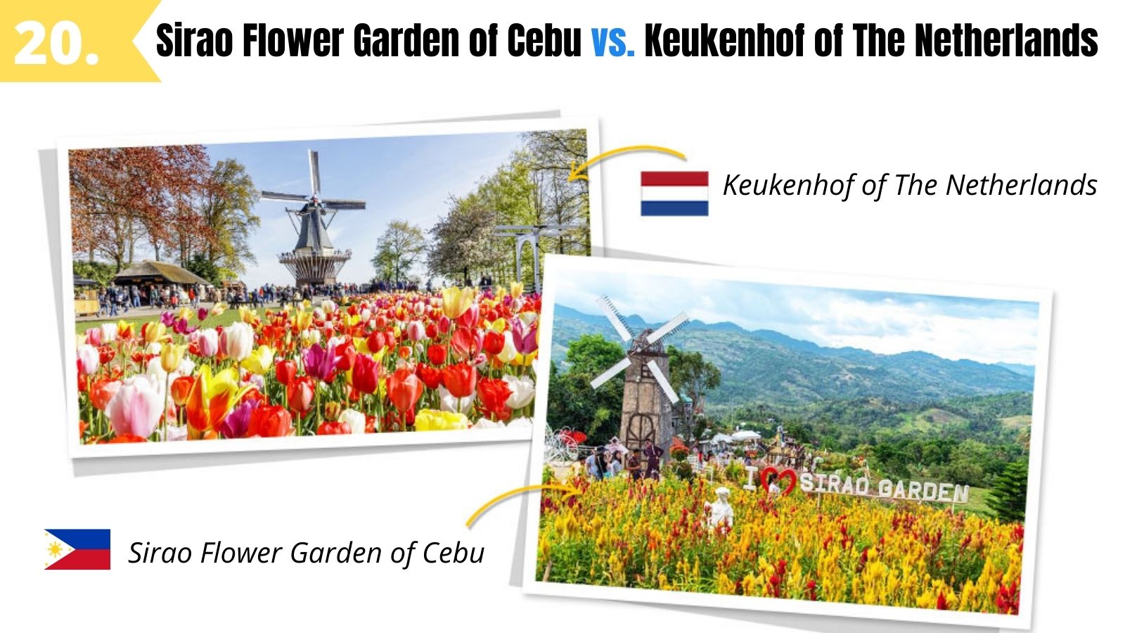 sirao flower garden mini amsterdam of cebu